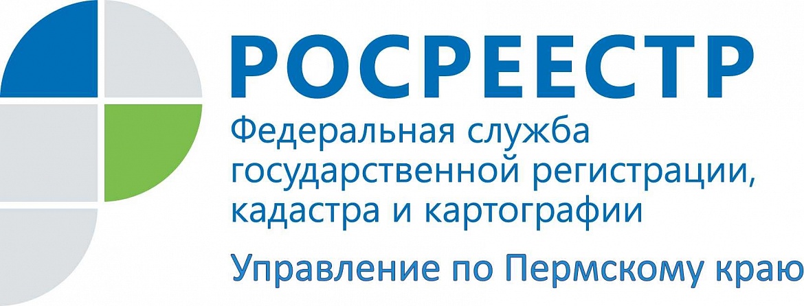 Как изменился земельный фонд в Прикамье: Росреестр подвел итоги мониторинга земель